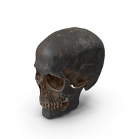Human Skull Sci Fi Iron PNG & PSD Images