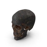 Human Skull Sci Fi Iron PNG & PSD Images