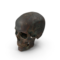 Human Skull Sci Fi Iron PNG & PSD Images