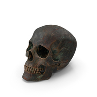 Sci Fi Iron Human Skull PNG & PSD Images