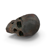 Sci Fi Iron Human Skull PNG & PSD Images