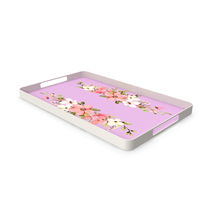 Tray PNG & PSD Images