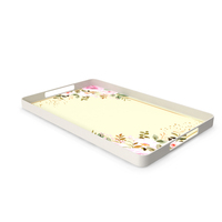 Tray PNG & PSD Images