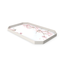 Tray PNG & PSD Images