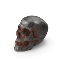 Human Skull Sci Fi Rusty Posed PNG & PSD Images