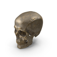 Human Skull Sci Fi Gold PNG & PSD Images