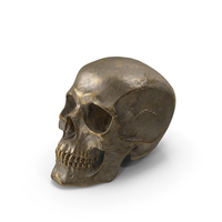 Human Skull Sci Fi Gold Posed PNG & PSD Images