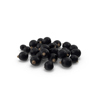 Blackcurrant PNG & PSD Images