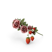 Floral Circlet PNG & PSD Images