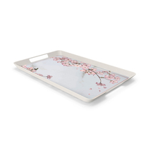 Tray PNG & PSD Images