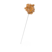 Orange Hairpin PNG & PSD Images