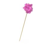 Gold & Pink Hairpin PNG & PSD Images