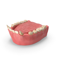 Creature Lower Jaw With Tongue PNG & PSD Images