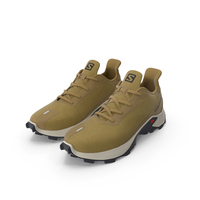 Salomon Alphacross Brown PNG & PSD Images
