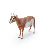 Brown Dairy Goat PNG & PSD Images