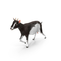 Black & White Walking Goat PNG & PSD Images