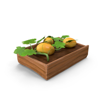 Cartoon Melon PNG & PSD Images