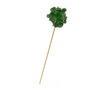 Gold & Green Hairpin PNG & PSD Images