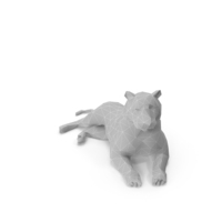 Tiger PNG & PSD Images