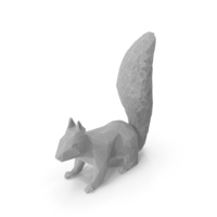 Squirrel PNG & PSD Images