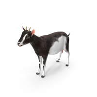 Domestic Goat PNG & PSD Images