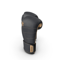 Hayabusa T3 LX Boxing Gloves Black PNG & PSD Images