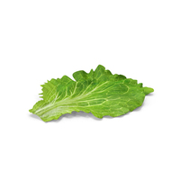 Lettuce Leaves PNG & PSD Images