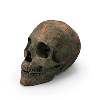 Antique Bronze Skull PNG & PSD Images