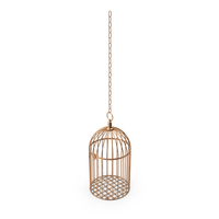 Hanging Gold Cage PNG & PSD Images