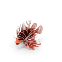 Clearfin Lionfish PNG & PSD Images