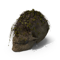 Stone Skull With Ivy PNG & PSD Images