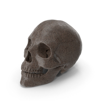 Marble Skull PNG & PSD Images