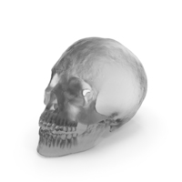 Glass Skull X-Ray PNG & PSD Images
