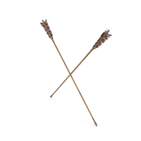 Crossed Archery Arrows PNG & PSD Images