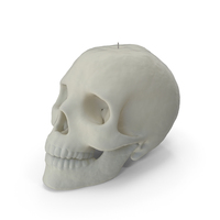 Skull Candle PNG & PSD Images