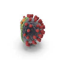 Virus Structure PNG & PSD Images