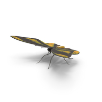 Chimaera Birdwing Butterfly PNG & PSD Images