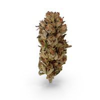 Mr Melon Cannabis Bud PNG & PSD Images
