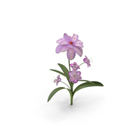Flower PNG & PSD Images