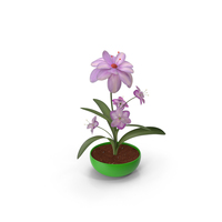 Flower In Green Pot PNG & PSD Images