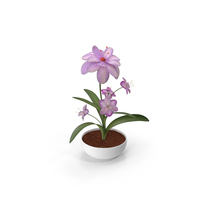 Flower In White Pot PNG & PSD Images
