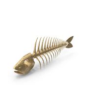Golden Fish Skeleton PNG & PSD Images