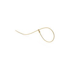 Golden Lasso Rope PNG & PSD Images