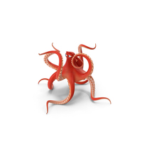 Hank Finding Dory Floating Pose PNG & PSD Images