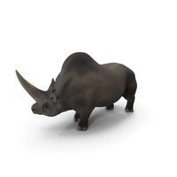 Extinct Giant Rhinoceros Walking Pose PNG & PSD Images