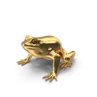 Golden Frog PNG & PSD Images