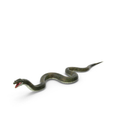 Snake Monster PNG & PSD Images