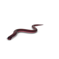 Serpent Monster PNG & PSD Images