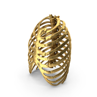 Golden Rib Cage PNG & PSD Images