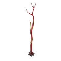 Leafless Plant Tree Red PNG & PSD Images
